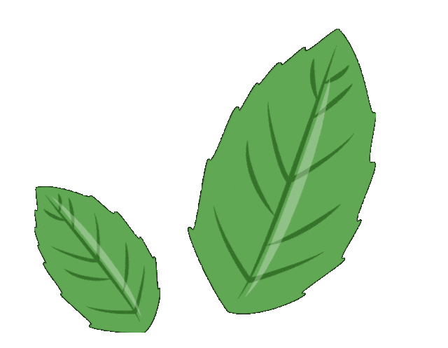 心灵绿ZHOU · 科普有光｜...