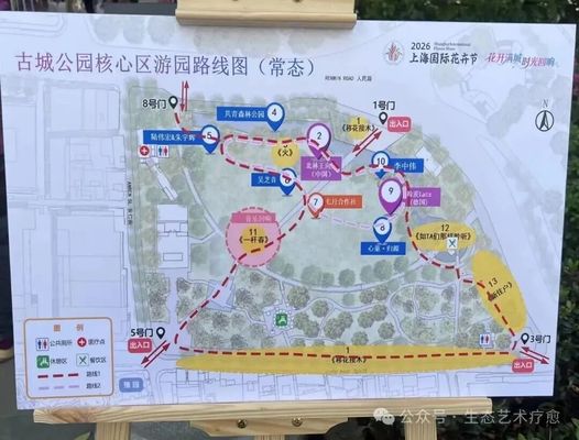 来自华东师大，首个心理疗愈花园...